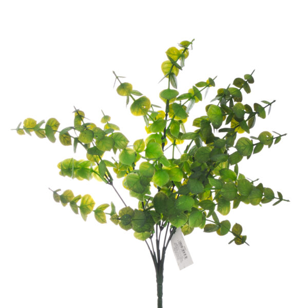 BUQUÊ EUCALIPTO 38CM - VERDE